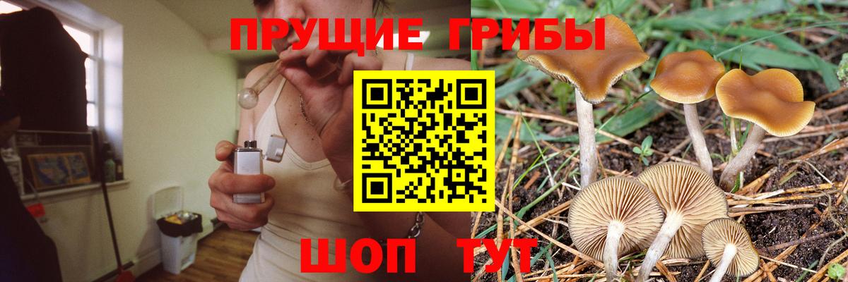 Псилоцибиновые грибы MAGIC MUSHROOMS  Вход с VPN  Янаул 